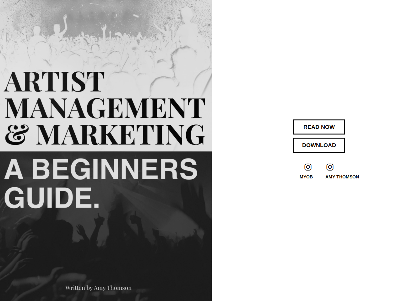 Artist Management & Marketing A Beginners Guide — Buzzsonic