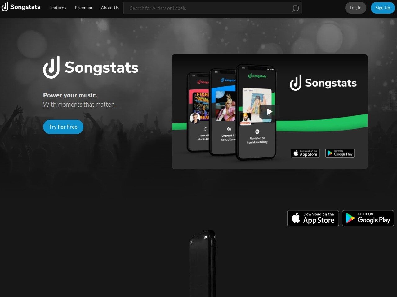 Songstats Music Data Analytics App — Buzzsonic